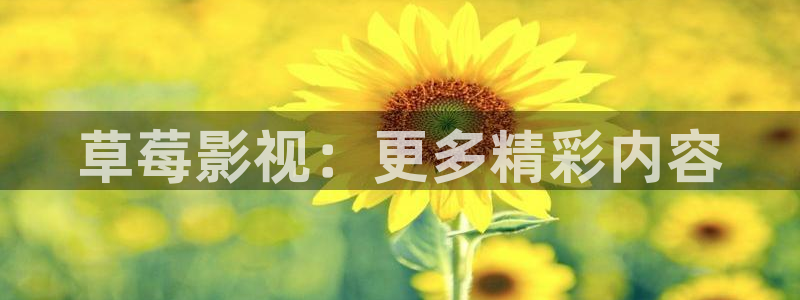 欧美宅男视频：草莓影视：更多精彩内容