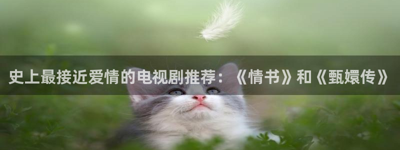 黄色宅男视频：史上最接近爱情的电视剧推荐：《情书》和《甄嬛传》