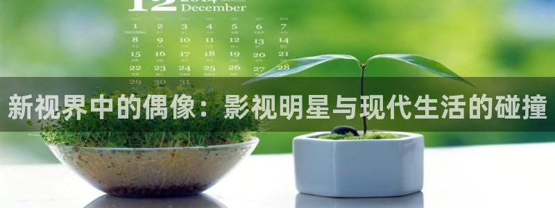宅男视频天堂：新视界中的偶像：影视明星与现代生活的碰撞