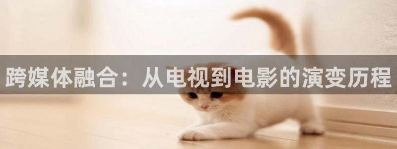 宅男视频黄片：跨媒体融合：从电视到电影的演变历程
