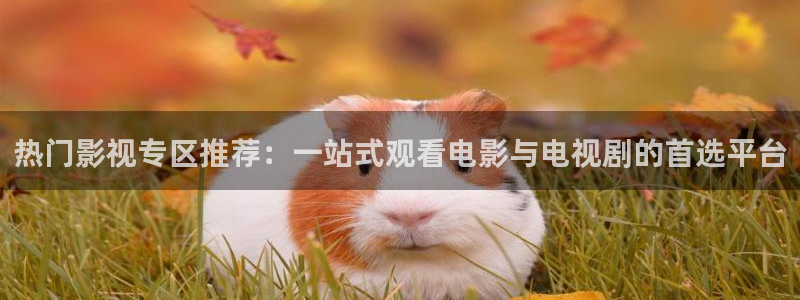 深夜宅男视频在线播放：热门影视专区推荐：一站式观看电影与电视剧的首选平台