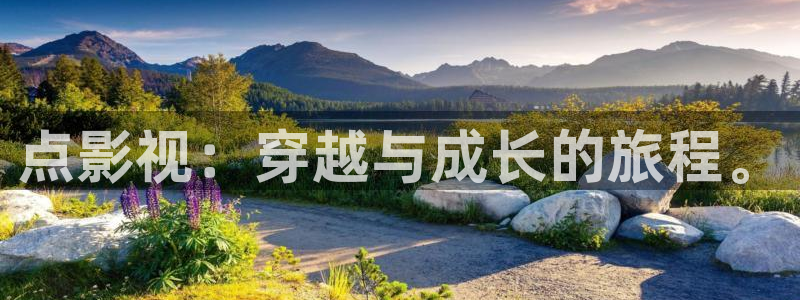 宅男视频污版：点影视：穿越与成长的旅程。