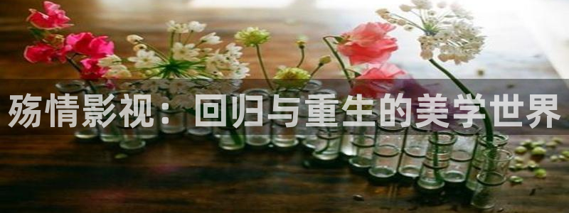 宅男视频在线污：殇情影视：回归与重生的美学世界
