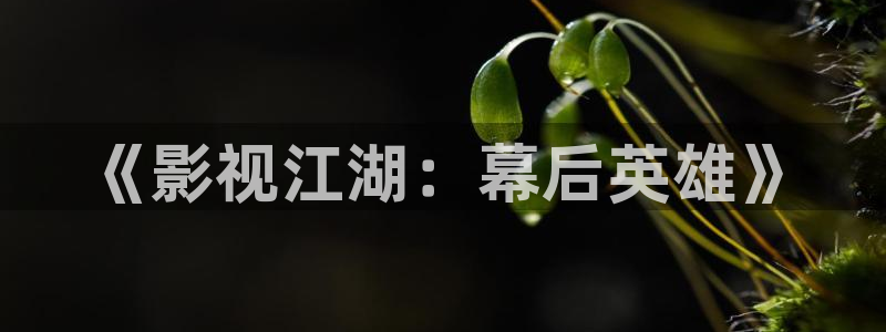 宅男视频免费：《影视江湖：幕后英雄》