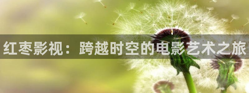 宅男视频免费在线观看视频：红枣影视：跨越时空的电影艺术之旅