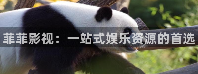 在线观看午夜宅男视频：菲菲影视：一站式娱乐资源的首选